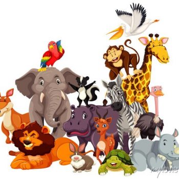 group-of-wild-animals-cartoon-character-700-207414632
